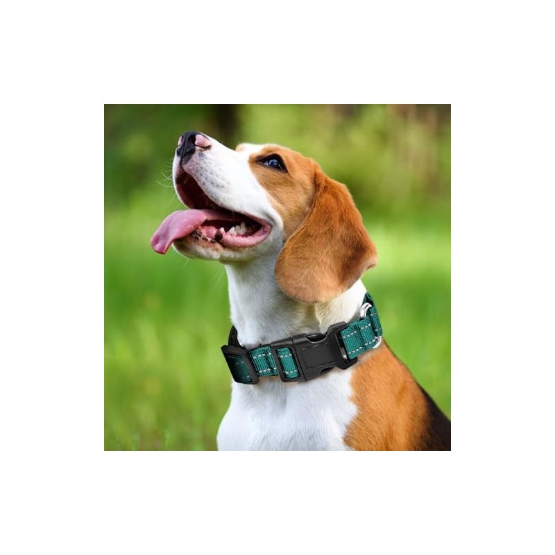 Collares reflectantes para perro de martingala. Collar para perro con
