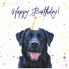 Black Labrador Birthday Card - Party Hat