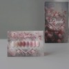 classic nail From the Nail Psyche Syrup Gel + 30