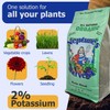 Neptune's Harvest Organic Plant Food | Fertilizer for Lawn &