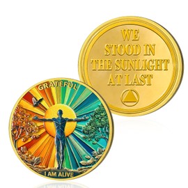 Embrace Hope Sobriety Coin, Grateful I AM Alive Sober Chip - AA Coin AA Chips and Medallion - Recovery AA Coin - Alcoholics Anonymous Sobriety Gifts for Women Men