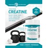 Tested Nutrition Creatine Monohydrate Powder | 5g Creatine Monohydrate |