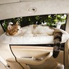 YGP Foldable Cat Window Perch with Space-Saving Fold-Down Design
