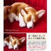 Ninia and Kino Perfect Pet Corgi, Size S, Approx. 8.7