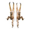 Jungle Hanging Monkey Cutout Set - Party Decor - 2