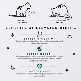 CatGuru Food Table for Cat Bowl, Non Slip Pet Feeding Station for Cat Food Bowls, Raised Stand for Food and Water Cats Bowls, Elevated Pet Feeder, Stress Free Pet Dish Stand (Bamboo, Standard)