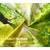 Onivein Green Forest Tapestry Nature Tapestry Ceiling Tree Sunlight Landscape