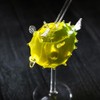 bar@drinkstuff Fairytale Cocktail Glasses (Stemmed Puffer Fish, Pack of 4)