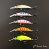 TackleTime Trout Lure Minnow Sinking Stream Lure 0.2 oz (5.5