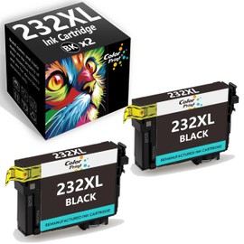 Color Print Compatible Remanufactured Ink Cartridge Replacement for Epson 232XL Ink Cartridges Black 232 XL for Expression Home XP-4200 XP-4205 Workforce WF-2930 WF-2950 Printer (2-Pack, 2X BK)