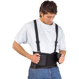 Safebelt Back Support Small