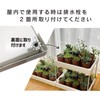 daim Succulent Mansion Black Kamen-kun Succulent Plants