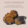 Mom's son 500g of Russian chaga mushroom pills / 러시아산