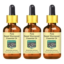 Devprayag Pure Sweet Wormwood Essential Oil (Artemisia annua) with Glass Dropper Natural Therapeutic Grade Steam Distilled (Pack of Three) 100ml X 3 (10 oz)