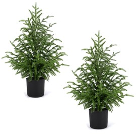 ENVEN 2 Pack 24" Artificial Norfolk Pine Potted Trees – Realistic Faux Christmas Greenery for Tabletop, Mantel, Entryway & Holiday or Year-Round Home Décor
