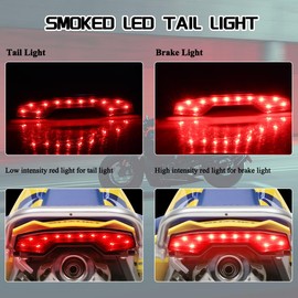 FACAILAHA ATV Smoked LED Tail Lights Assembly Brake Taillights Compatible with Suzuki LT-R450 QuadRacer 2006-2009
