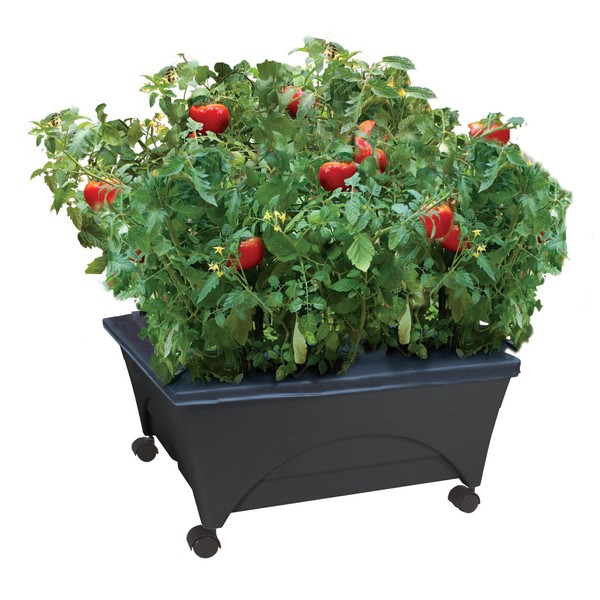 Emsco Group Emsco Group City Picker Raised Bed Grow Box