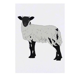 'Black & White Sheep' Temporary Tattoo - Water Resistant, Skin-Safe, Non-Toxic Transfer (TO00041212)