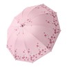 Folding Umbrella 10 Ribs Manual Opening Closing Dual Purpose UV