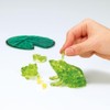 Crystal Puzzle, 3D Frog Couple, Green, Transparent Design, 43 Pieces,