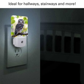 Chrobak LED Night Light,Fall Northern Saw-Whet Owl Portrait LED Night Light Plug into Wall with Dusk to Dawn Light Sensor White Energy Efficient Nightlight for Bedroom Hallway Living Room Kitchen