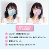 Korean Mask KF94 Mask, Pink/Blue, Non-Woven Mask, 4-Layer 3D Processing,