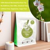 Samcci - Marshmallow Root Tea, 2g x 40 Tea Bags