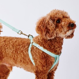 Petio Dog Drawstring Flash Soft Leash Small Blue