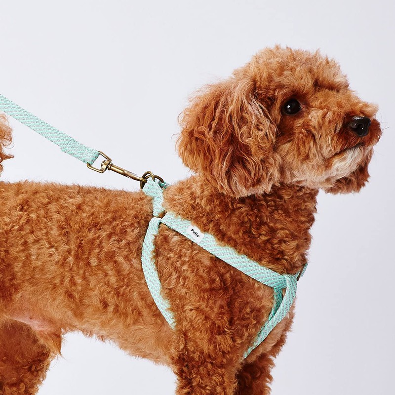 Petio Dog Drawstring Flash Soft Leash Small Blue