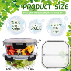 Wopgrty 5 Pack Bariatric Meal Prep Containers, 27 oz Glass Snack Food Containers with Lids, Reusable Box with Two 13 oz Compartments, Lunch Box Bento Box, Square Glass Bowl