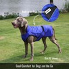 LUCOLOVE Dog Cooling Vest with Ice Pack – 2-Layer Evaporative
