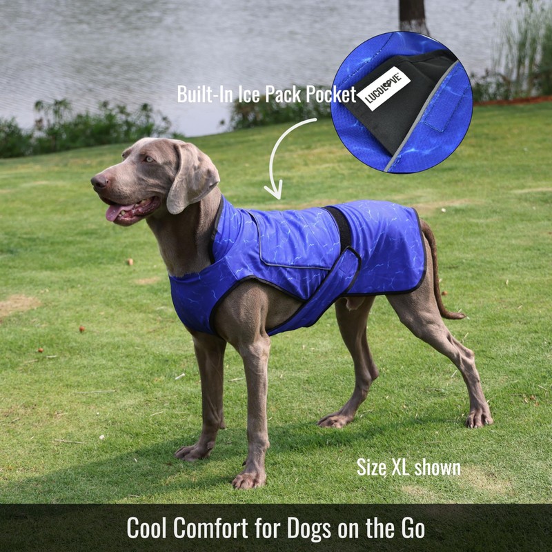 LUCOLOVE Dog Cooling Vest with Ice Pack – 2-Layer Evaporative