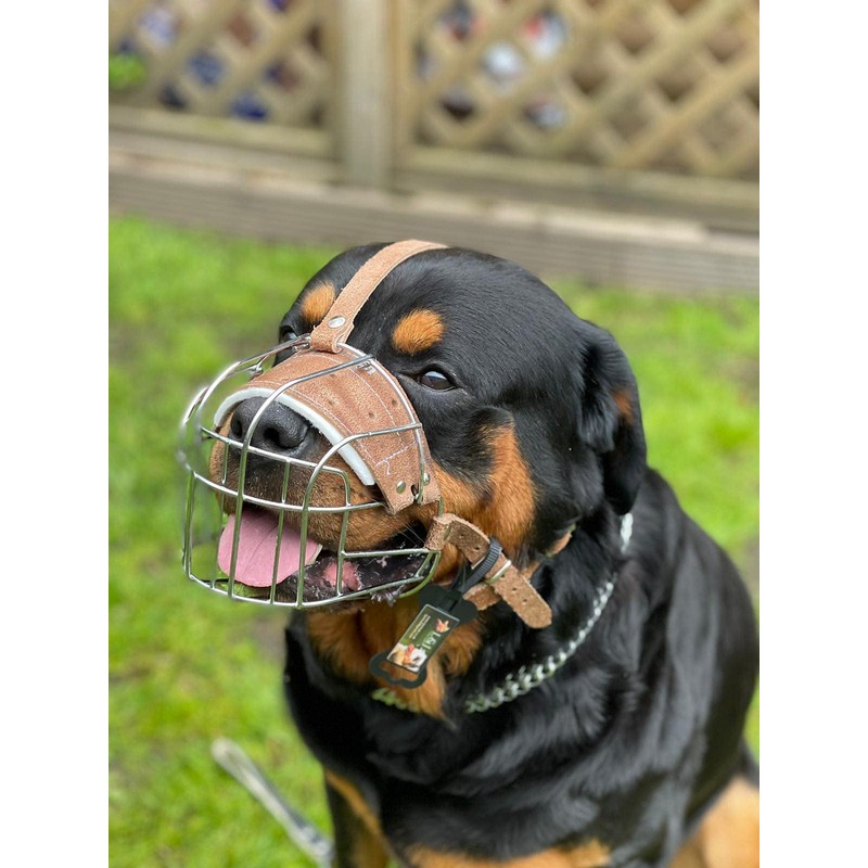 STRONG Wire Metal muzzle Basket Dog Muzzle Rottweiler,Mastiff Golden Retriever