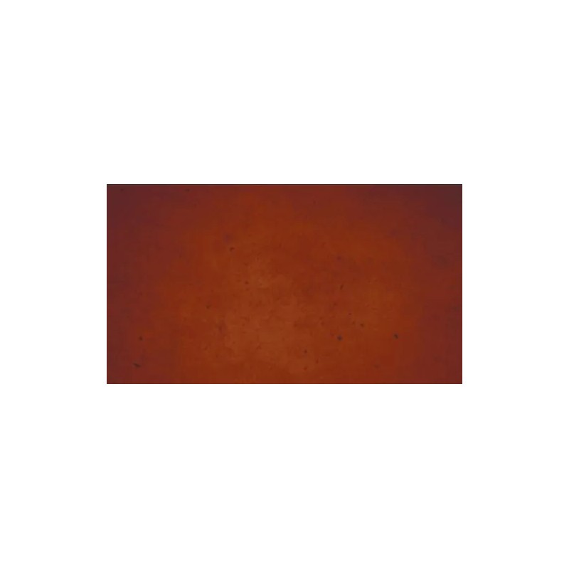 Concrete Resurrection Fast Drying Concrete Stain-Professi