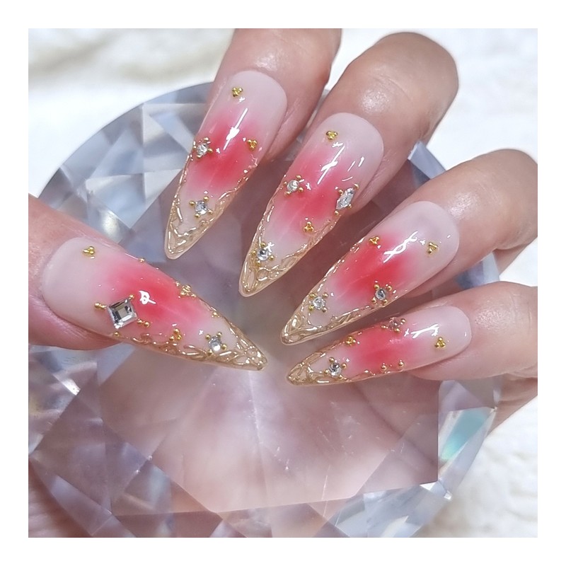 Rose Jungle Wedding Handmade Nail Tips - Stiletto / 장미