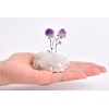 AMOYSTONE Natural Amethyst Flower Tree Wrapped On Geode Agate Base