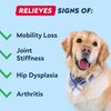 STRELLALAB Glucosamine Treats for Dogs - Joint Supplement w/Omega-3 Fish
