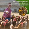 RAINFLOW Chicken Nesting Herbs - 10oz Natural Dried Herb Blend