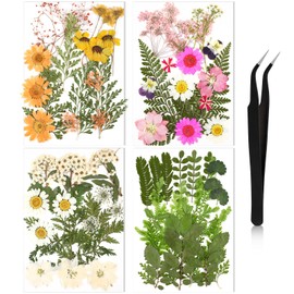 Nuanchu Pressed Flowers for Crafts Resin Dried Flower Bulk White Natural Dried Wildflowers Daisy with Tweezer for Resin Mold Candles Cake DIY Christmas Craft Card Making Wedding Scrapbooking Supplies