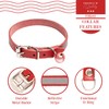 Filbert Leather Cat Collar, Reflective Cat Collar, Leather Accessories with