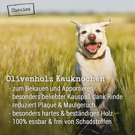Chewies Chew Wood for Dogs - Olive Wood Chew Bone - Shatterproof and Durable - Natural Chew Toy - Dental Care and Dog Toy