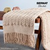 Bernat Blanket Stormy Green Yarn - 2 Pack of 300g/10.5oz