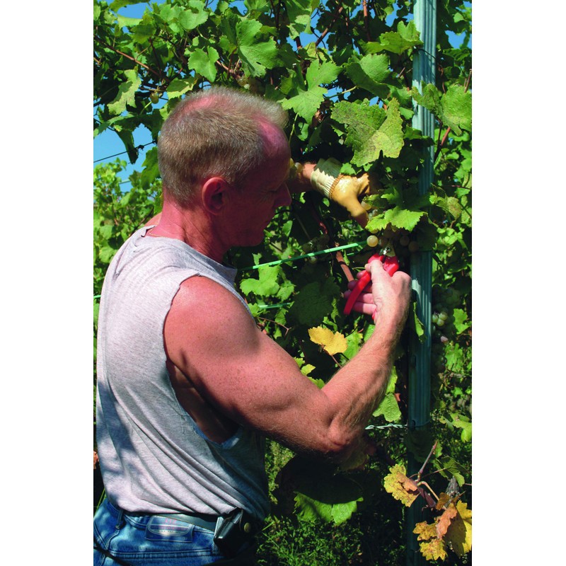 Felco F310 Pruning Snips – 7.3" Lightweight Garden Clippers for