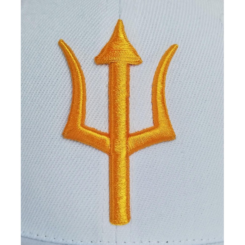 Capiche [99+ VARIACIONES] Gorra Snapback Nueva Colección Special Series Gris