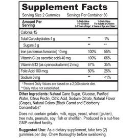Go Healthy Natural Kids Iron Gummies - Vitamin C, B12, Folic Acid, Vegan, Kosher (U), Halal (60ct) 30