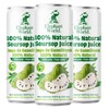 Elephant World 100% Natural Soursop Guanabana Juice 10.8 oz (Pack