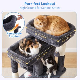 Heybly 34.6" Cat Tree Anti-Tipping Floor Cat Condo for Kittens, HCT205SG