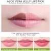 4 Colours Organic Aloe Vera Moisturizing Crystal Jelly Lipsticks, Dulele