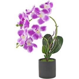 aufuwa Artificial Orchid Silk Phalaenopsis Flowers Faux Orchids with Ceramic Pot 19.5" Decor for Table Centerpieces Indoor Wedding Home Office Party Hotel Yard Decoration (Purple Gradient)