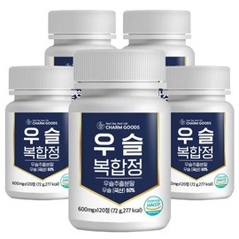 Charm goods [Chamgoods] Hypox extract complex tablets, 120 tablets, 5 boxes / [참굿즈] 우슬 추출물 복합정 120정 5통